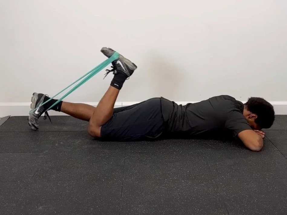 Hamstring Curl Exercise